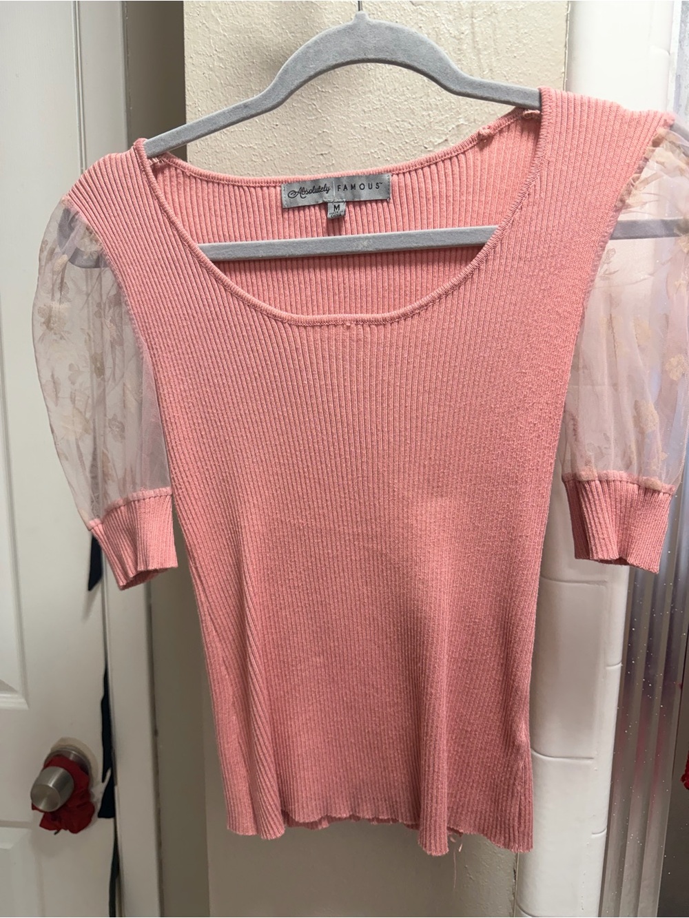 Absolutely Famous Pink Ribbed Top with Sheer Floral Puff Sleeves